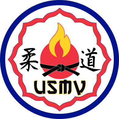 Logo U.S.M.VILLEPARISIS